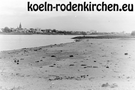 Köln Rodenkirchen: Niedrigwasser