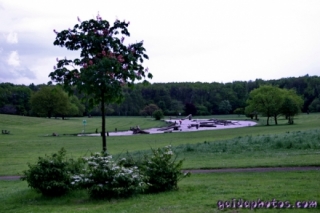 Köln Rodenkirchen Forstbotanischer Garten