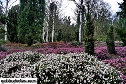 koeln-rodenkirchen-forstbotanischer-garten-24