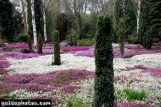 koeln-rodenkirchen-forstbotanischer-garten-3