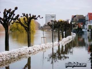 Bilder aus Köln-Rodenkirchen