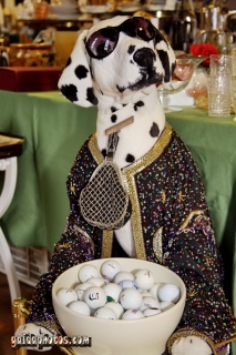 Flohmarktfotos - Hund mit Goflbällen