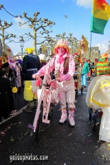 Karneval in Maastricht
