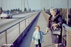 Rodenkirchen Autobahnbrücke A3/A4 1961