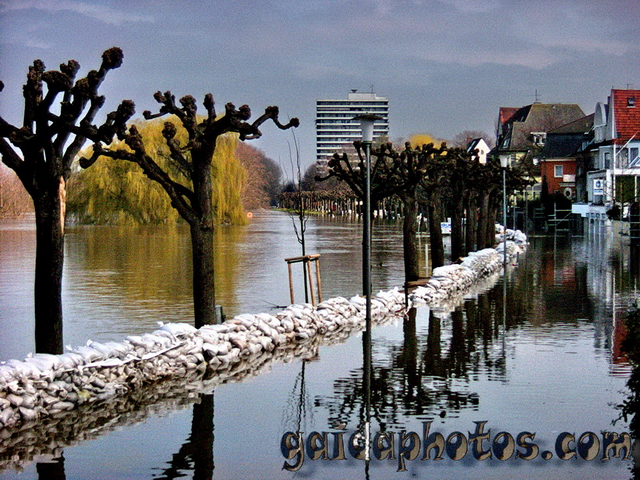 Köln Rodenkirchen: Rhein Hochwasser