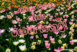 Glückwunschkarte Geburtstag Blumenwiese