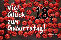 18. Geburtstag - Karte - Marienkäfer