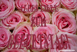Geburtstagskarte Alles Liebe Rosen