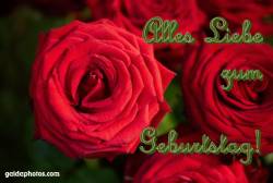 Geburtstagskarte Alles Liebe Rosen