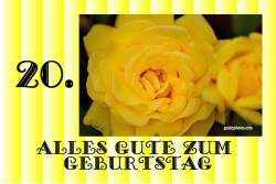 Karte zum 20. Geburtstag Rose gelb