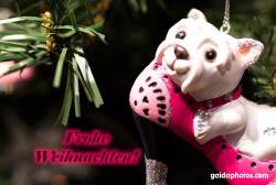 Weihnachtskarte mit Bulldogge