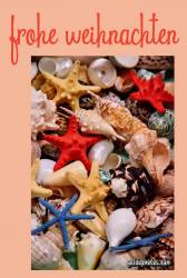 kostenlose Weihnachtskarte mit Seesternen