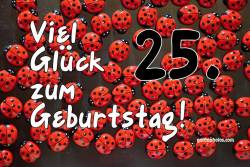 Karte 25. Geburtstag Marienkäfer