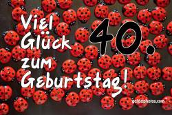 Karte 40. Geburtstag Marienkäfer