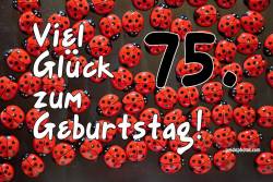 75. Geburtstag Karte Marienkäfer