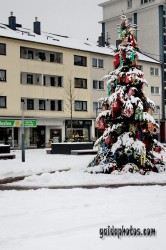 Bilder von Advent, Vorweihnachtszeit und Winter