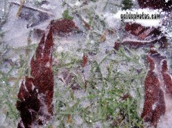 Bilder von Advent, Vorweihnachtszeit und Winter