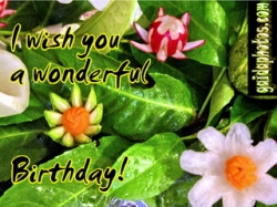 Geburtstag Ecard