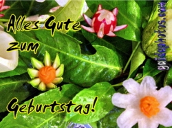 Geburtstag Ecard