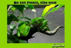Valentinstagskarte
