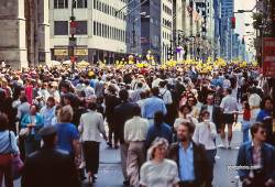 New York Oster Parade