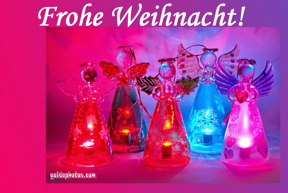 20 Kostenlose Weihnachtskarten Gaidaphotos Fotos Und Bilder