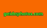 gaidaphotos.com