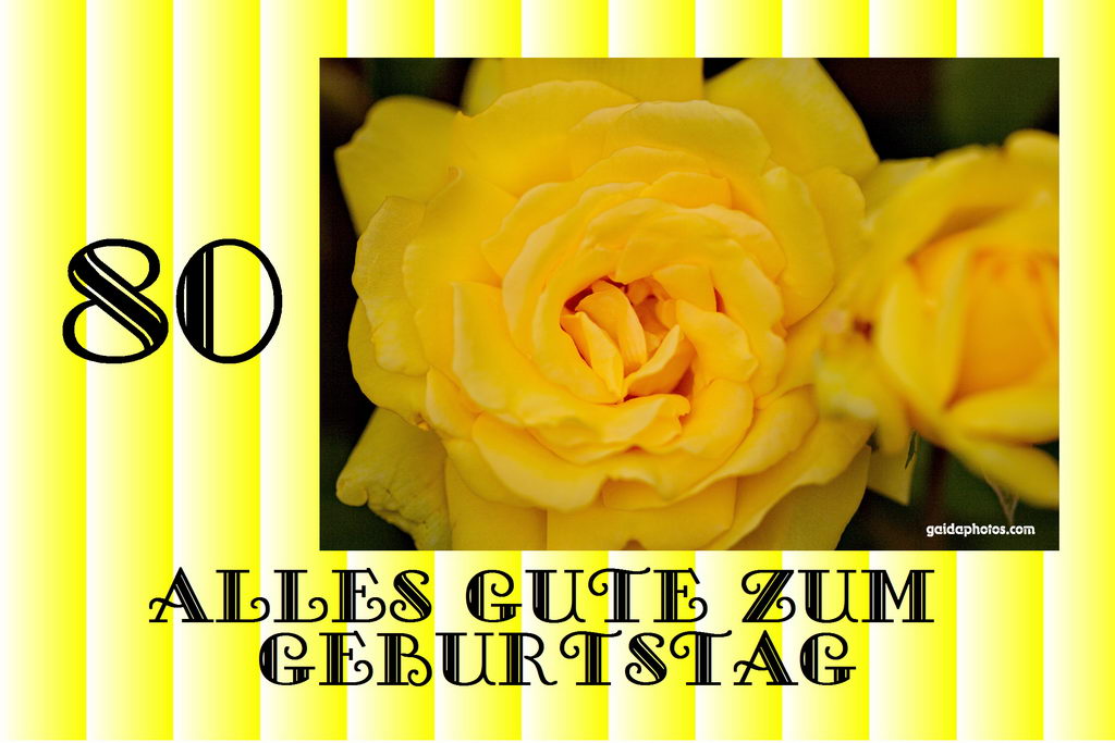 80. Geburtstag Glückwunschkarten gaidaphotos Fotos und Bilder