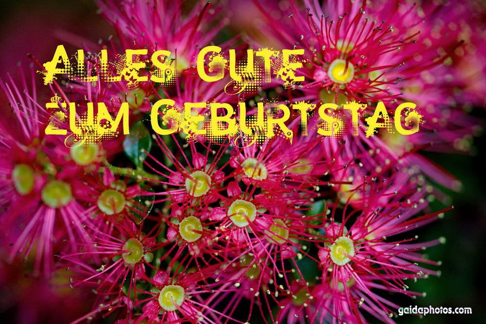 20 Humorvolle ️ Geburtstagskarten zum kostenlosen Download
